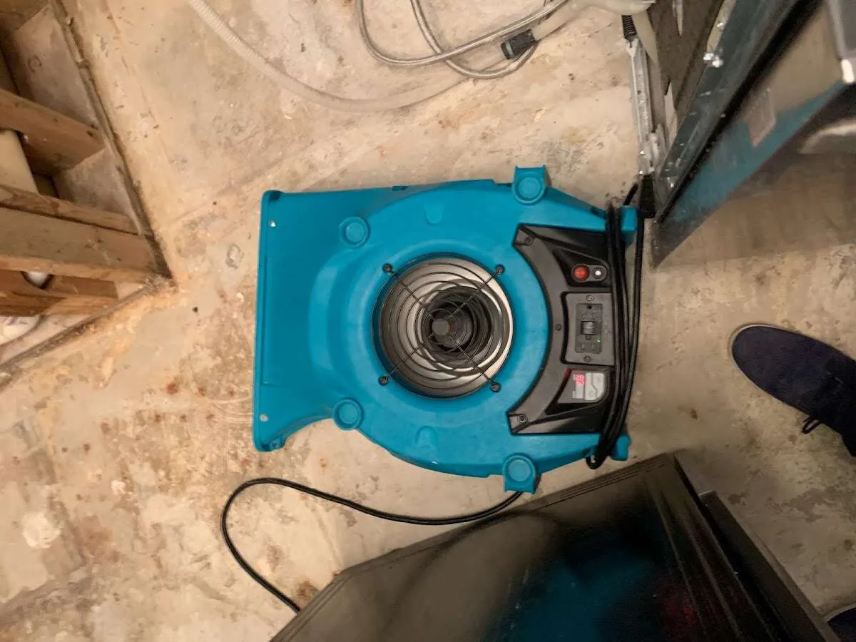 Air mover drying equipment for Mold Remediation & Removal in South Hadley